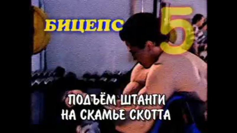 Бодибилдинг