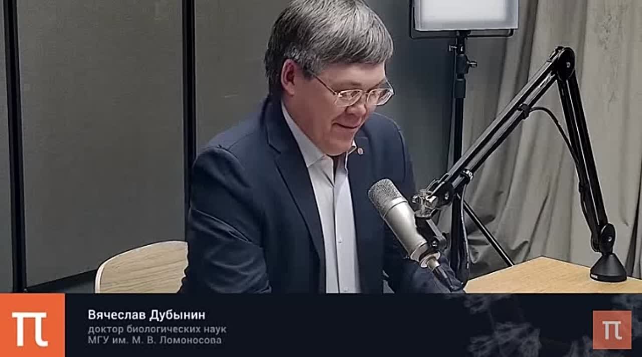 Интеллект