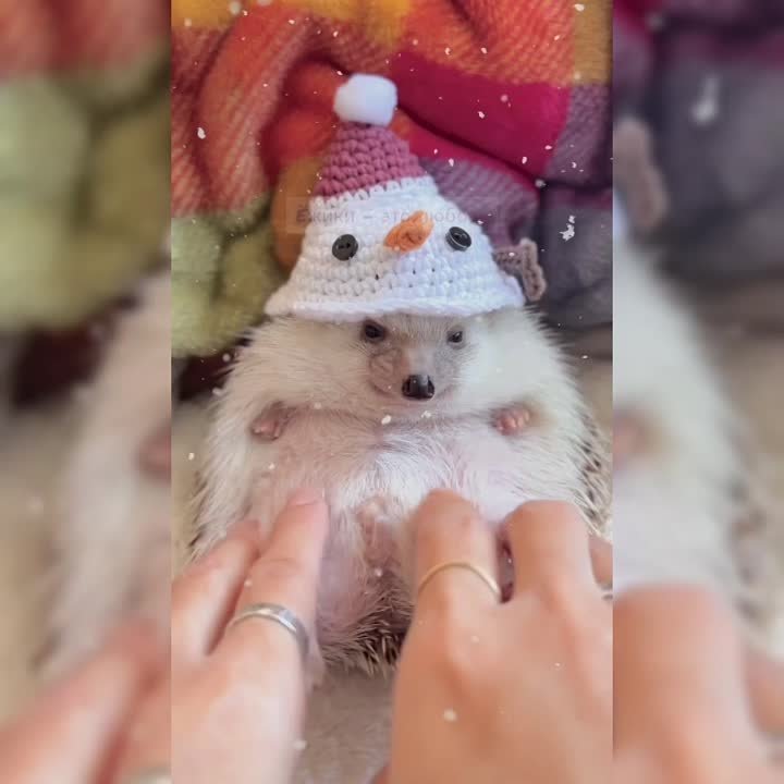 Новый год