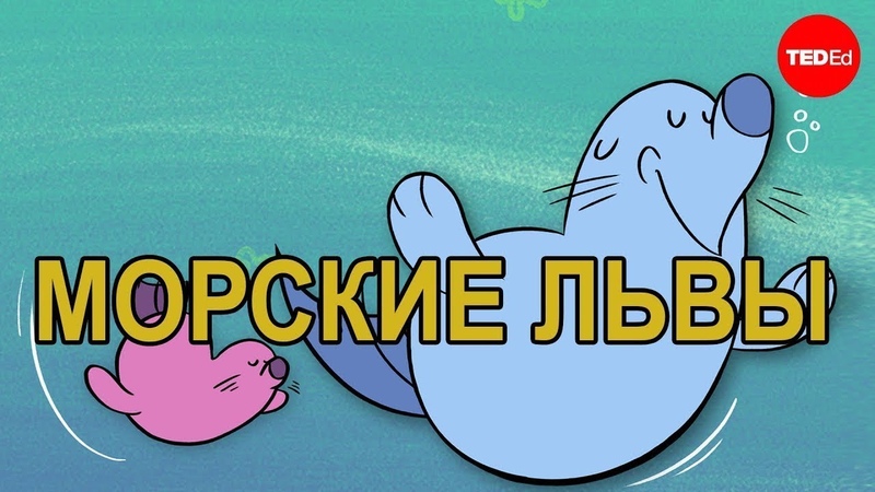 удивительная природа
