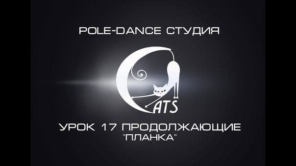 Видеоуроки от студии CATS