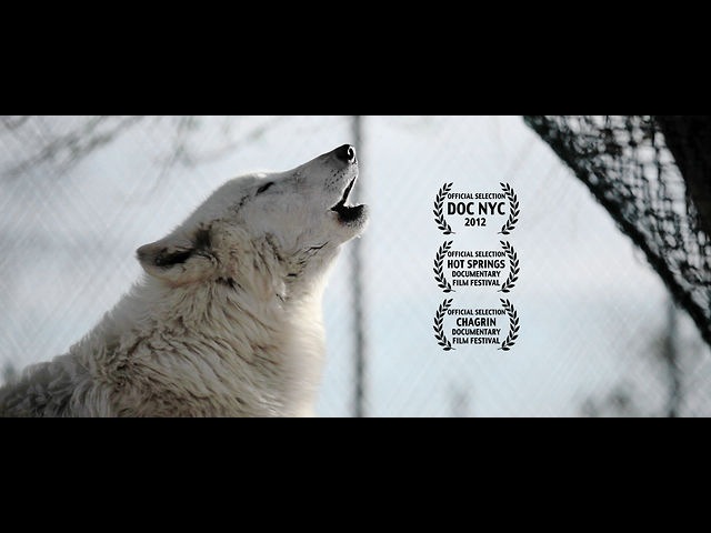 Wolves