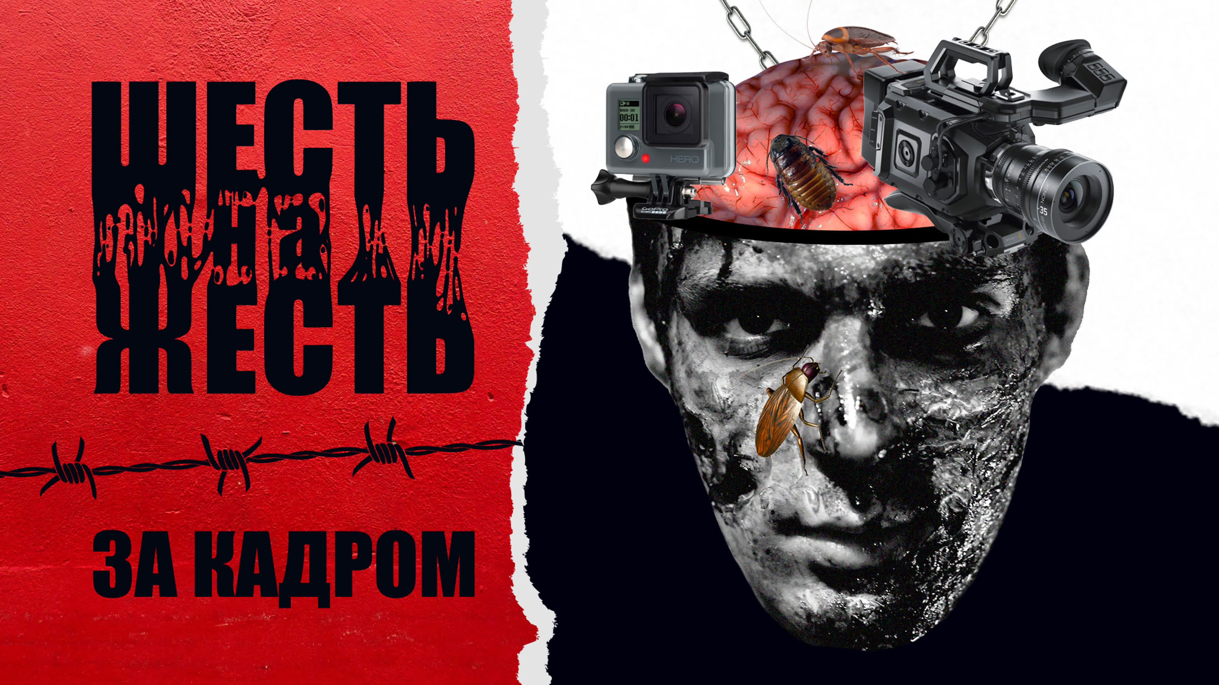 проект изнутри