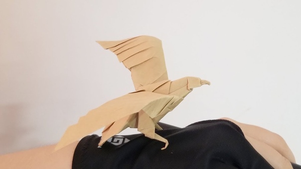 Lazy Paper Origami