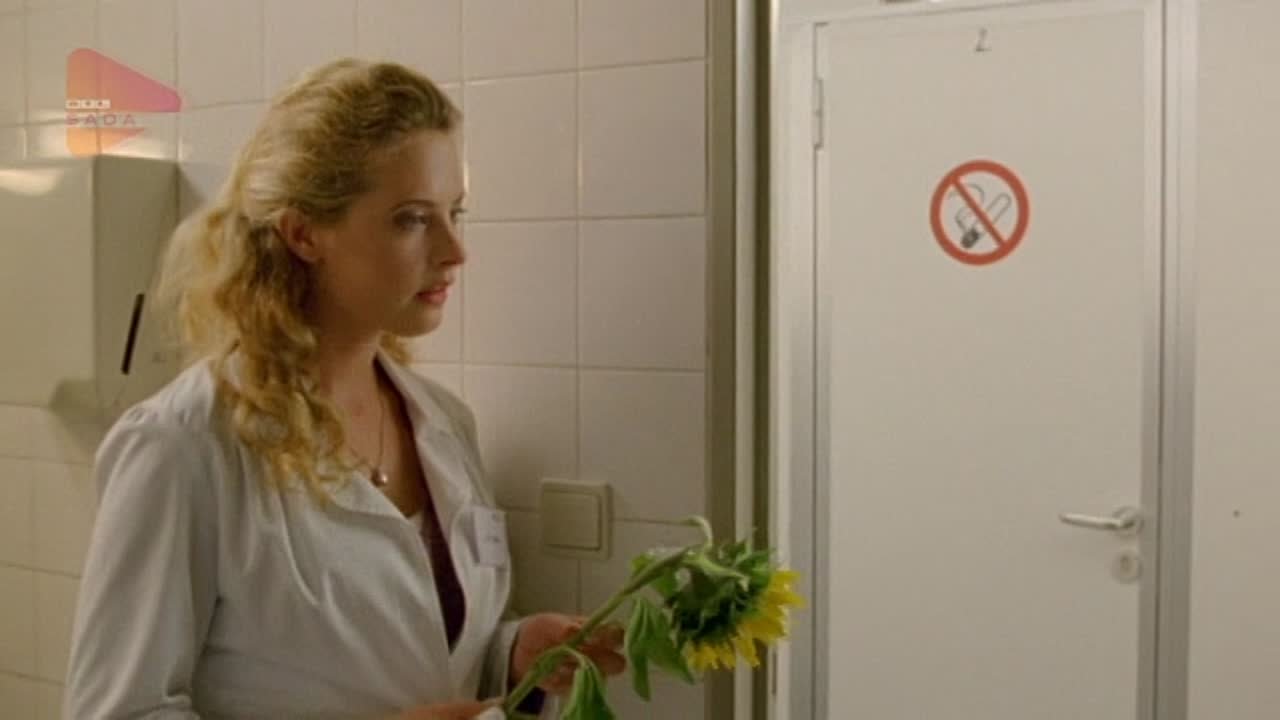 Doctor's Diary - Männer sind die beste Medizin