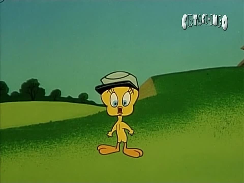 Looney Tunes - Sylvester the Cat & Tweety