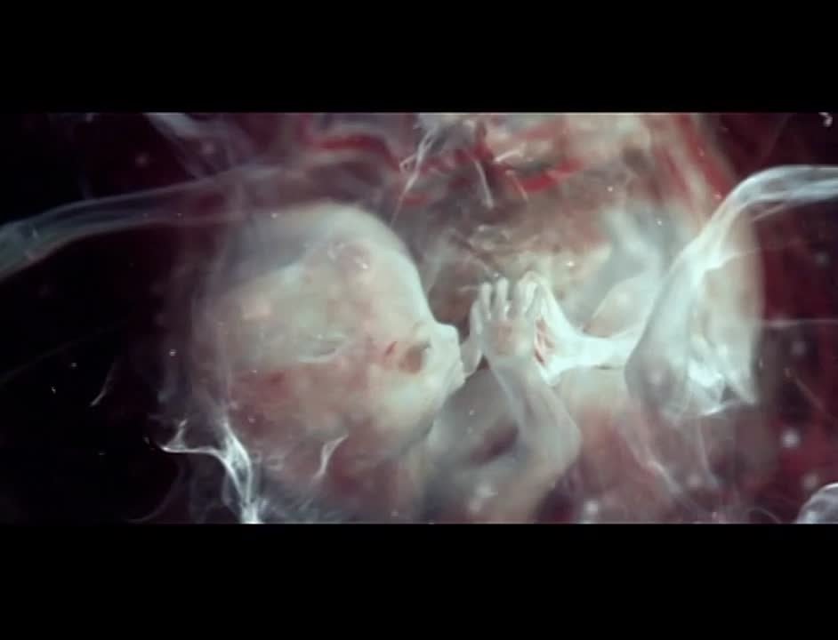 Björk