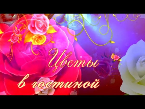 Цветы в гостиной 12+