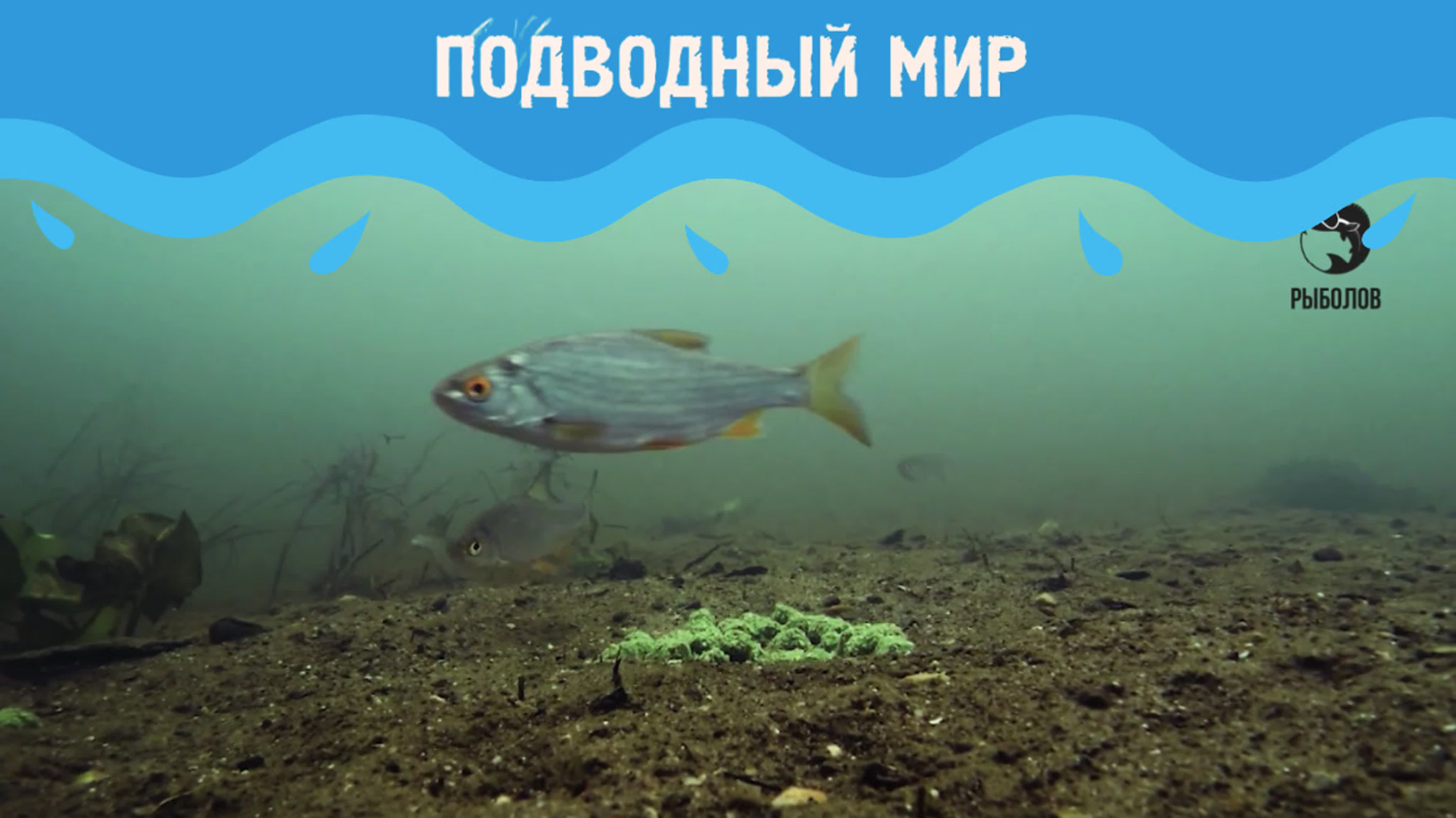 Подводный мир 2