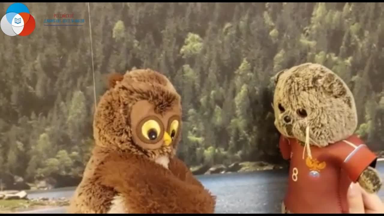 Внеурочная деятельность физкультурно-спортивной направленности