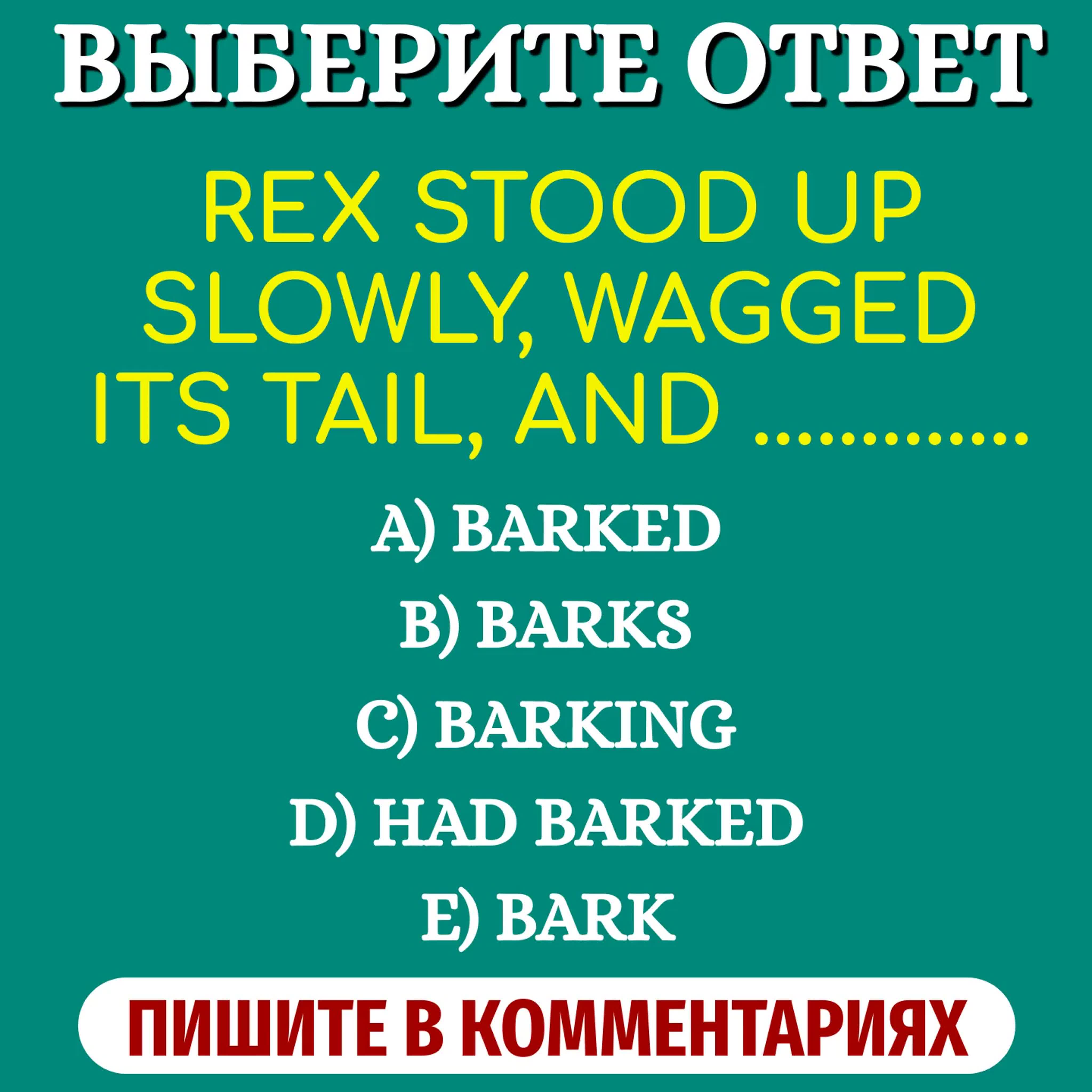 ТЕСТЫ
