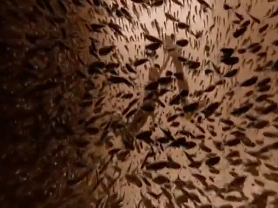 Романтика