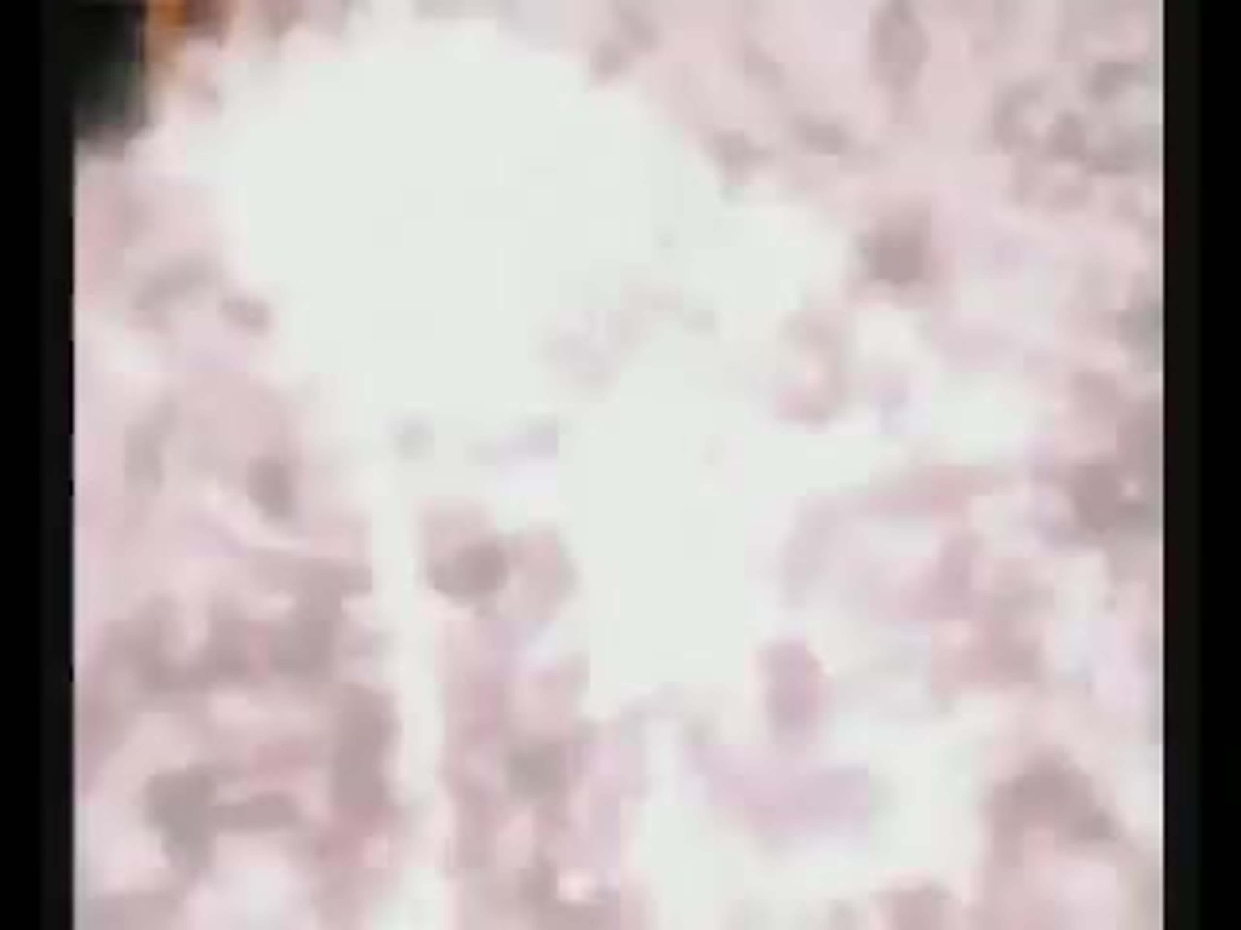 Дипломный концерт. 25.04.2008