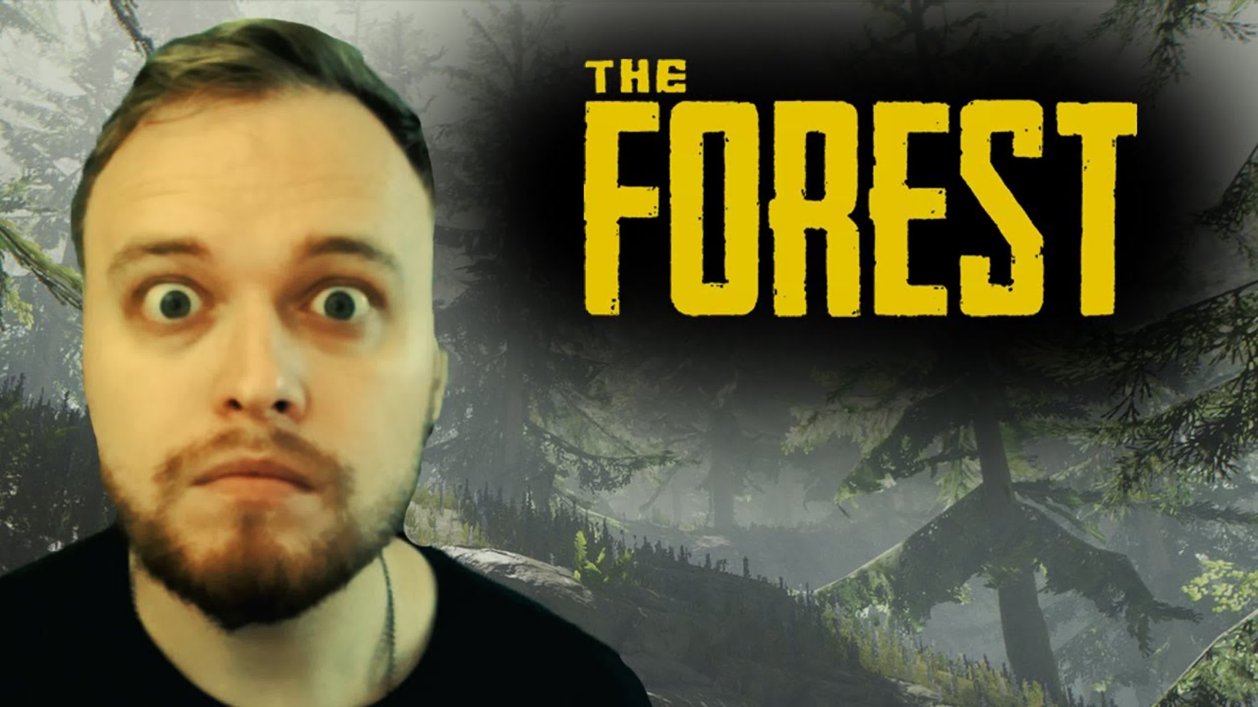 THE FOREST ◉ ПРОХОЖДЕНИЕ