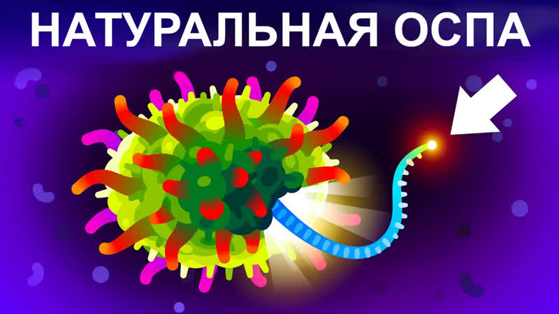 Наши переводы лекций, дебатов, док. фильмов