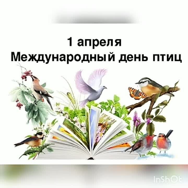 2021/1 .04 Межд.День птиц