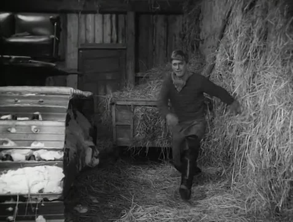 х/с "Четыре танкиста и собака" (1966-1970)