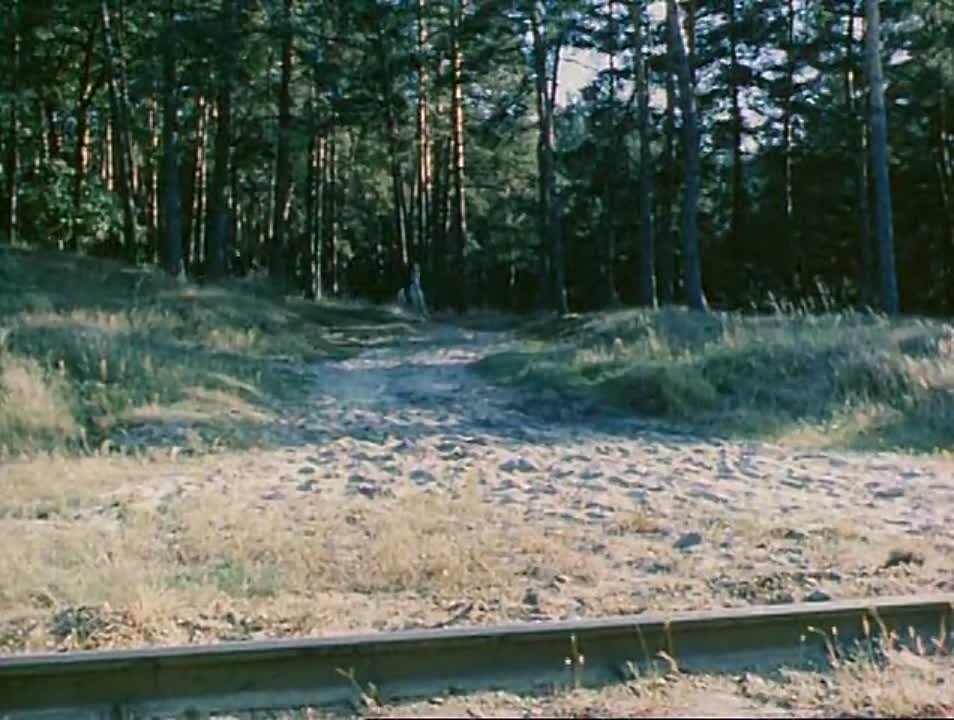 х/с "В лесах под Ковелем" (1984)