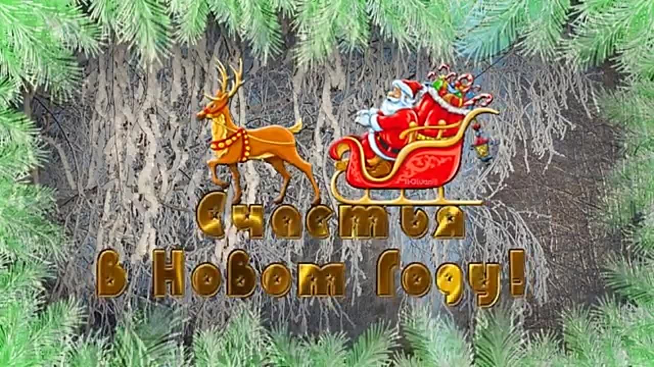 мои видео декабрь 2023