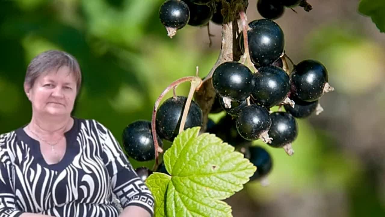 июнь мои видео 2023