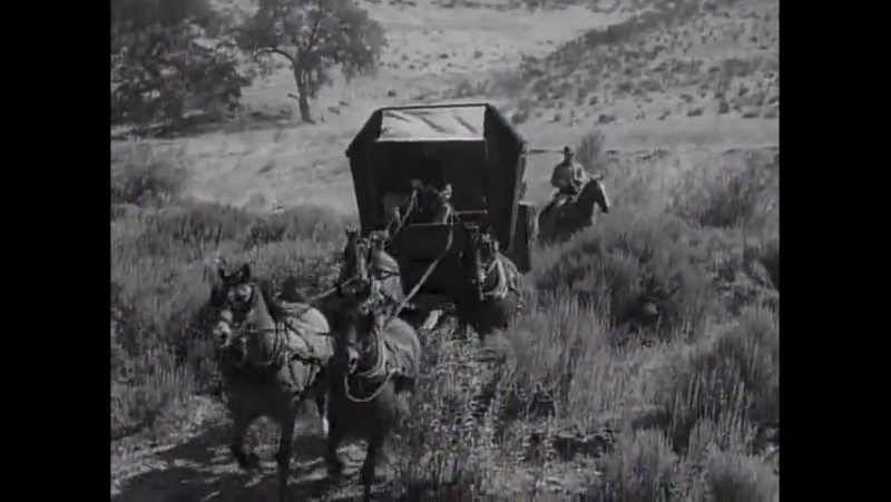 СЫРОМЯТНАЯ ПЛЕТЬ/Rawhide (1959 – 1965)