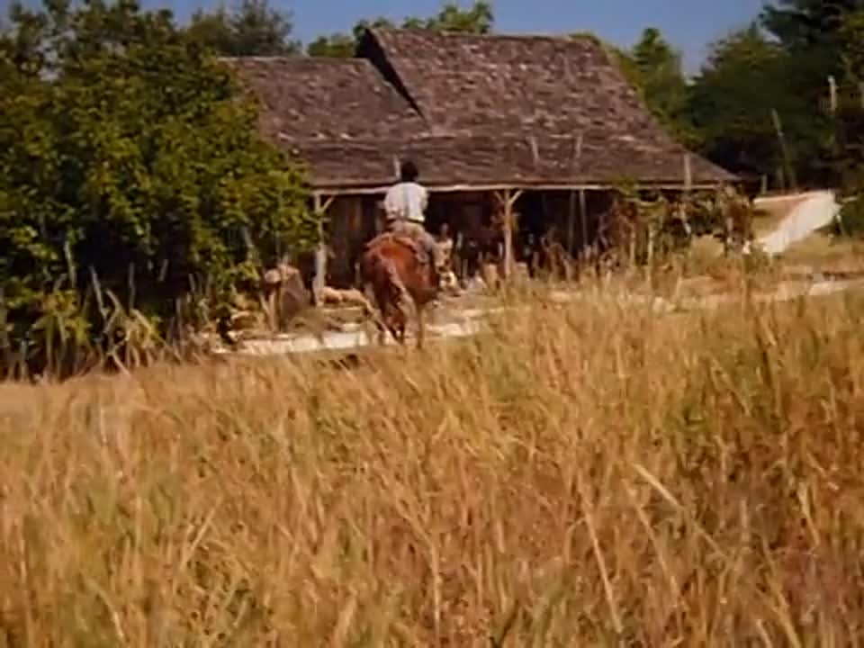 СЕВЕР и ЮГ /North & South/ (1985,1986,1994)