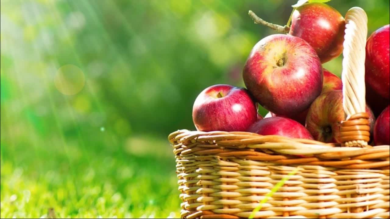 Номинация ВИДЕОРЕПОРТАЖ. Категория ЛЮБИТЕЛИ