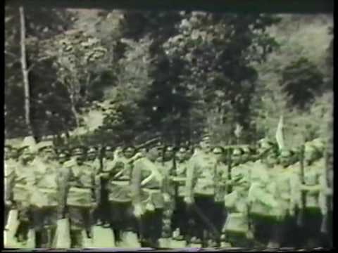 Кинохроника. 1896-1917.