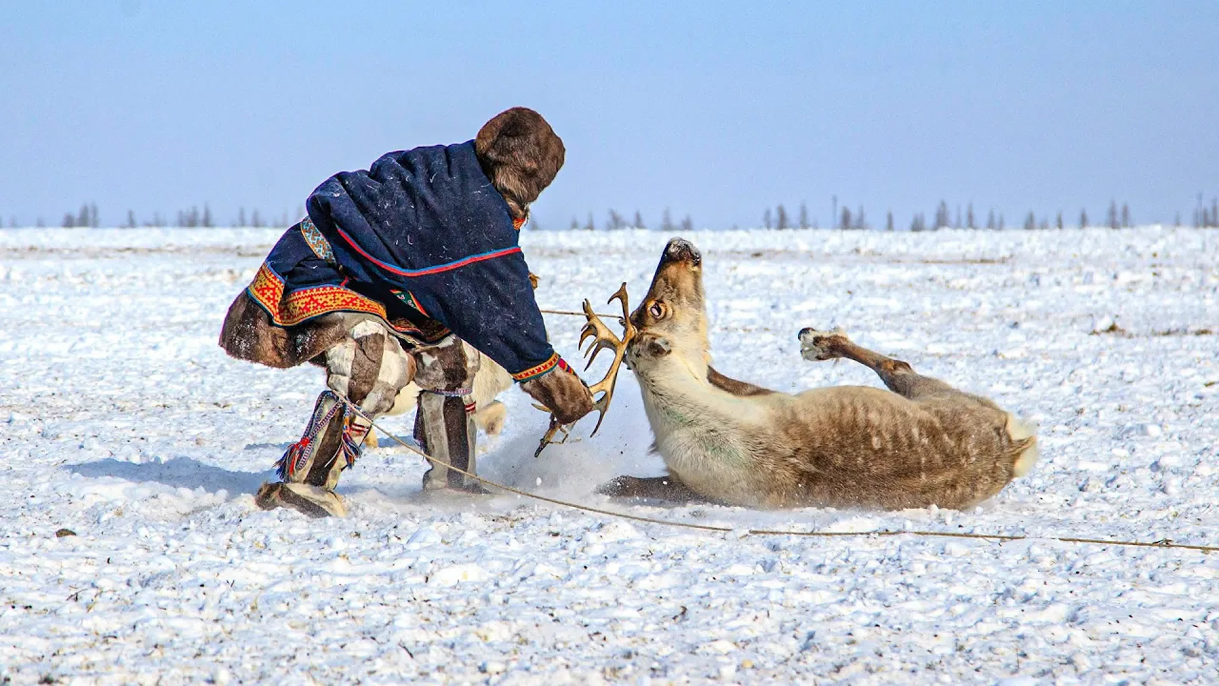 Ясавэй. Кочевник XXI века