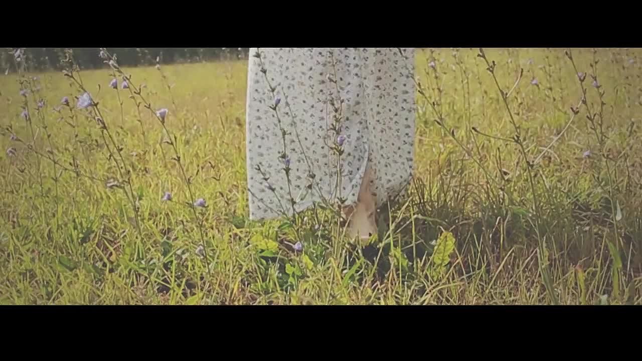 Новички видеочарта 2014