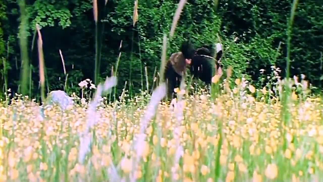 стрелы робин гуда
