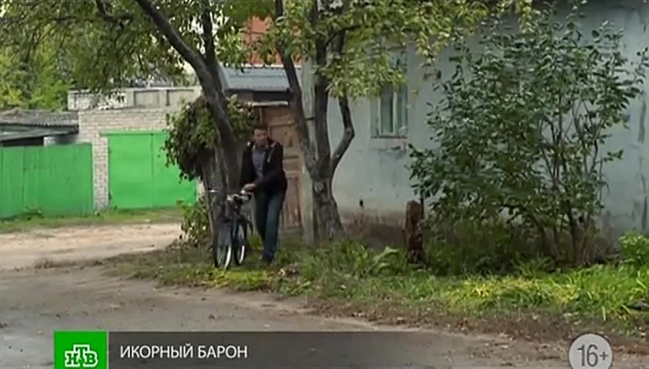 Икорный барон 2013