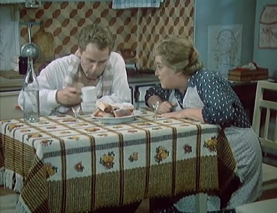 30 случаев майора Земана