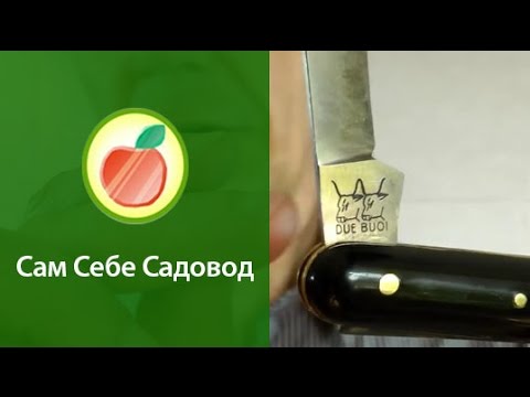 Сам Себе Садовод