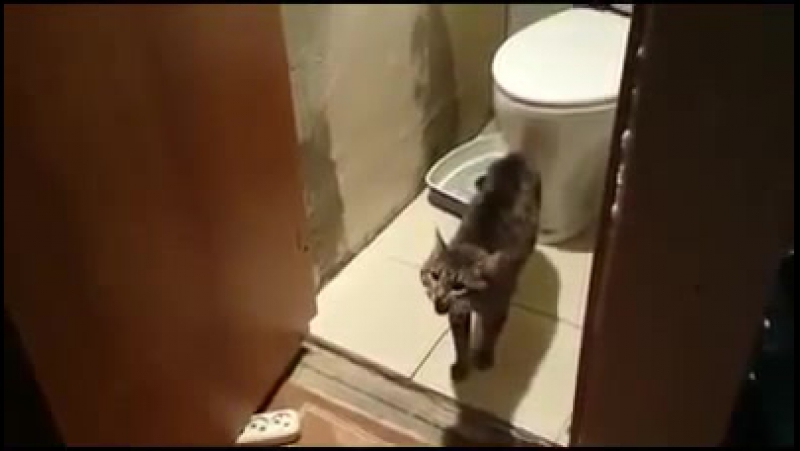 ыя