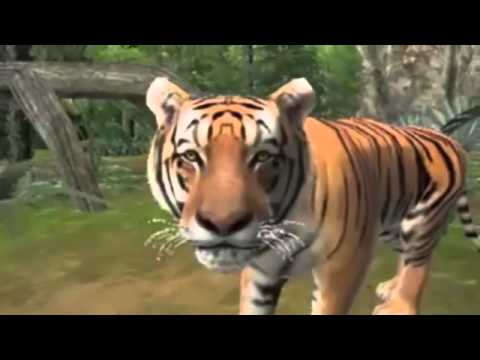Animal Resort