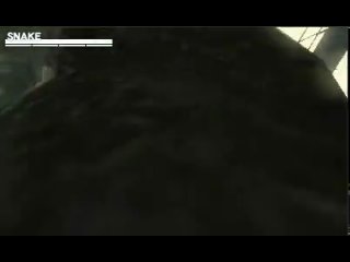 Metal Gear Solid: Snake Eater 3D