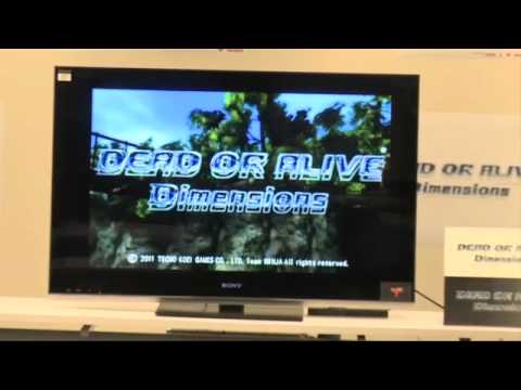 Dead or Alive Dimensions