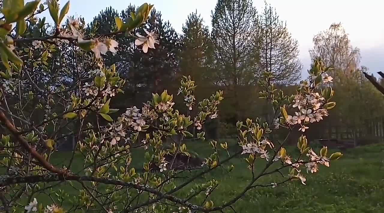 Мои видеоклипы