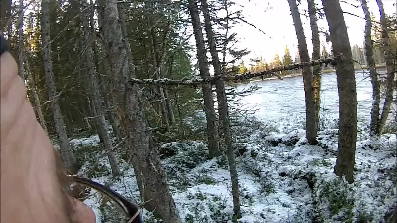 Охота на копытных