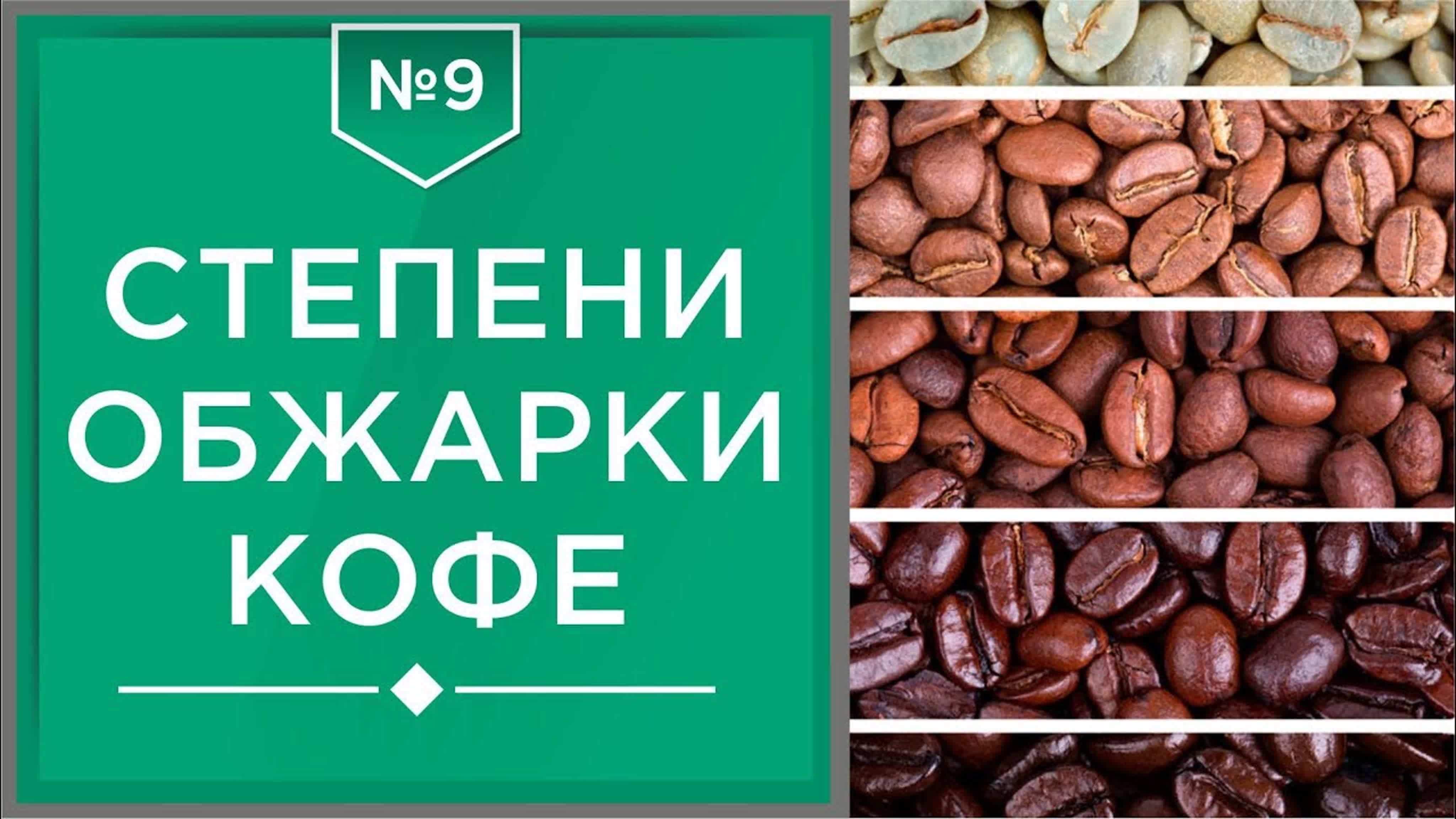 Введение в кофе