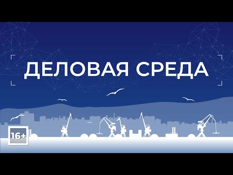 Деловая среда: программа для бизнеса и о бизнесе