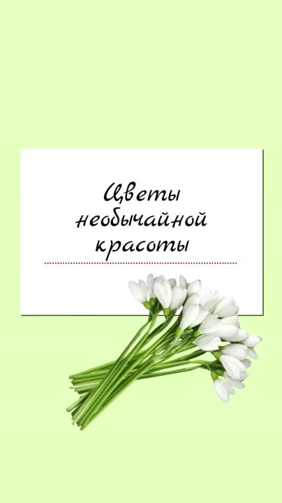 Цветы необычайной красоты