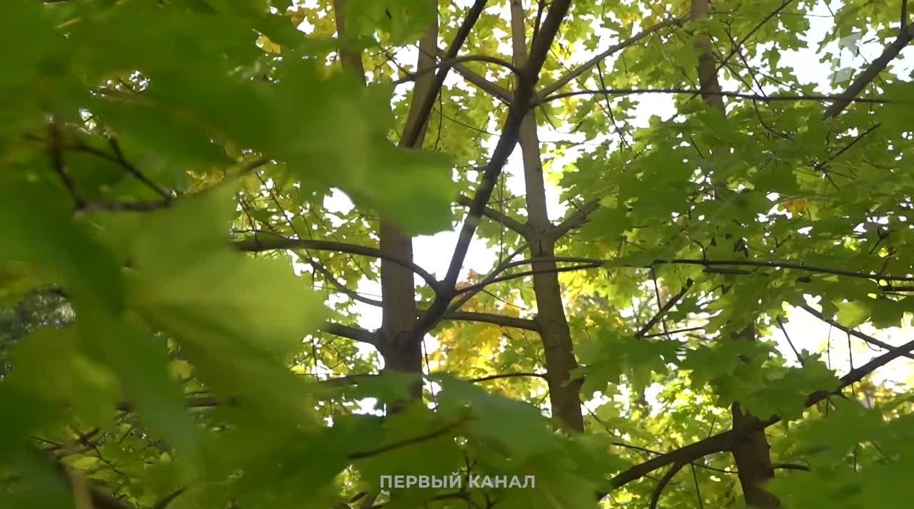Фигурное катание. Влоги фигуристов