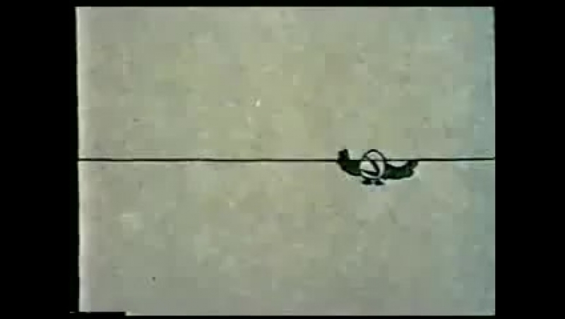 Анимация
