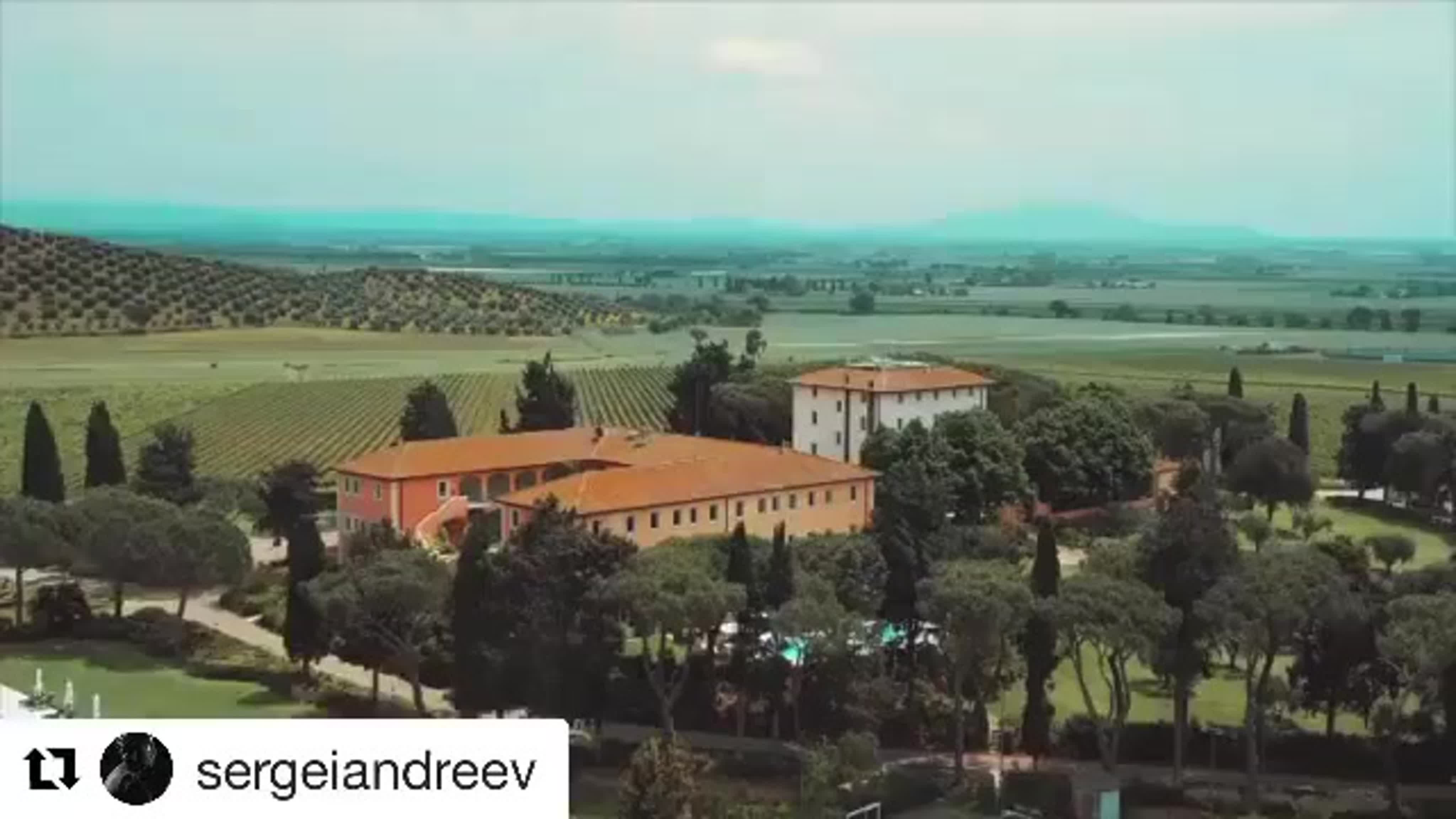 СВАДЕБНОЕ ТОРЖЕСТВО.
