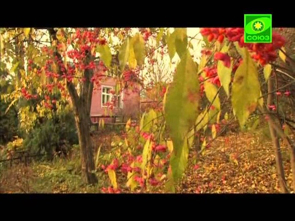 Русские праведники