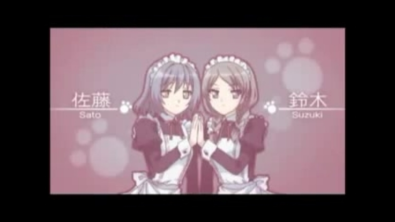 Нашествие бродячих кошек