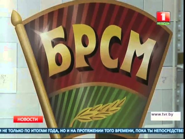 МООП (Молодежные отряды охраны правопорядка)