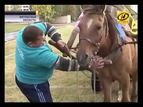 Властелин села